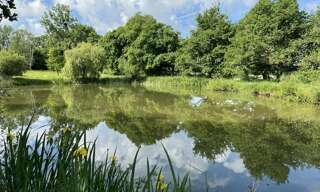 Terrain  5650 m² à vendre à Mers-sur-Indre (36230)