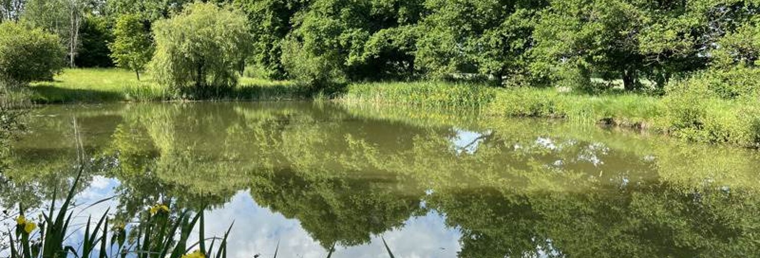 Terrain  5650 m² à vendre à Mers-sur-Indre (36230)