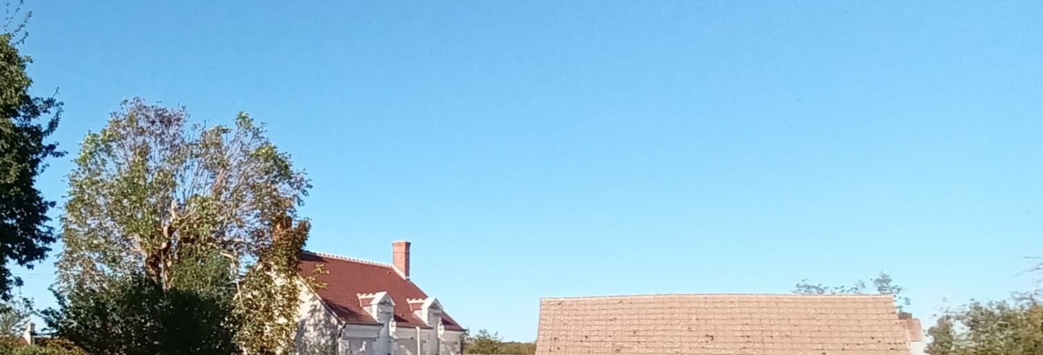 Maison 3 Pièces 85 m² à vendre à Châteauvieux (41110)