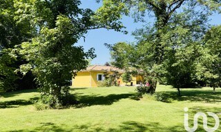 Photo N° 4