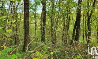 Terrain  606 m² à vendre à Moret-Loing-et-Orvanne (77250)