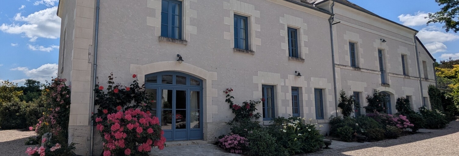 Maison 11 Pièces 469 m² à vendre à Bléré (37150)