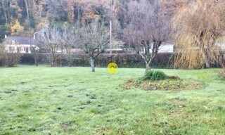 Photo N° 5