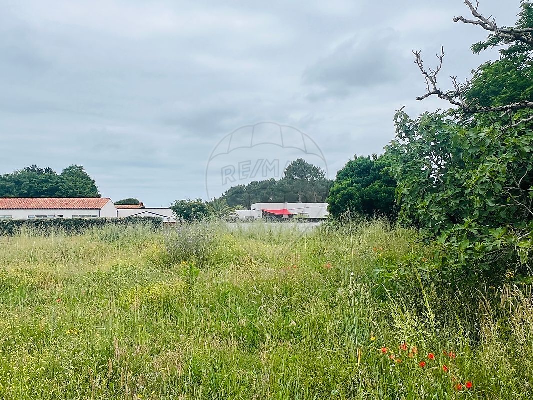 Terrain  à vendre Mathes (Les) 17570