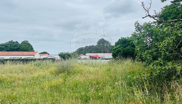 Terrain  à vendre Mathes (Les) 17570