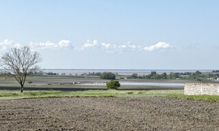 Photo N° 6