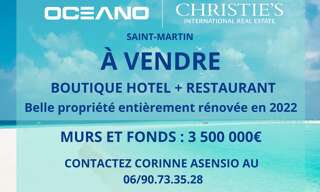 Immeuble  880 m² à vendre à Saint-Martin (65360)