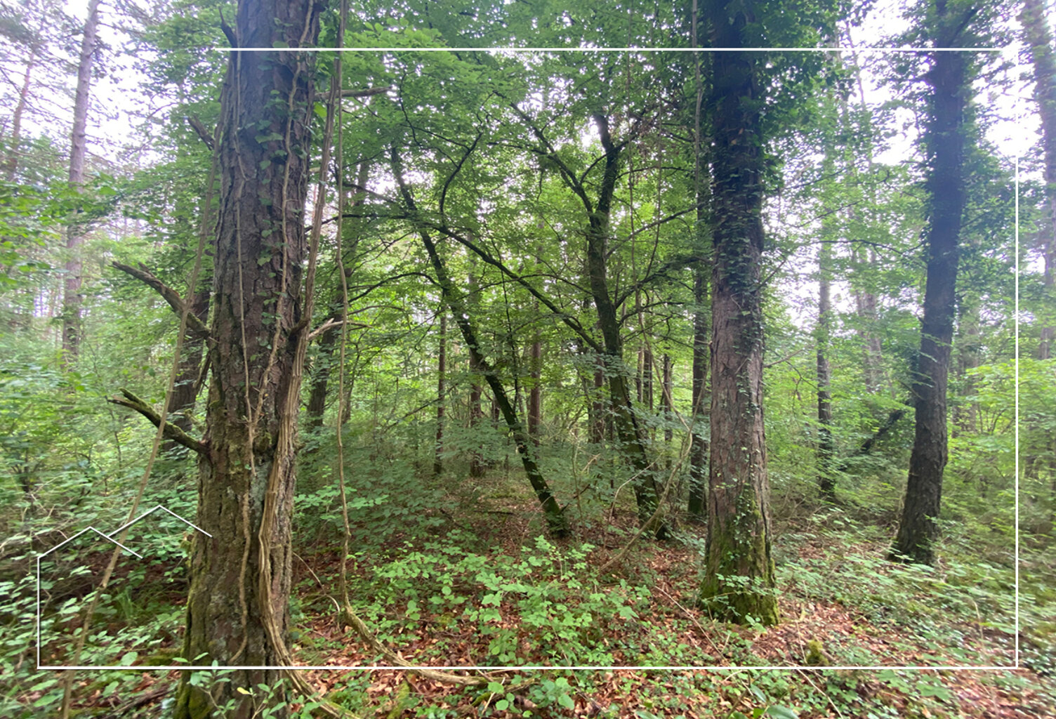 Vente terrain  67687 m² Meuilley (21700) — photo 1