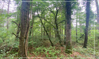 Terrain  67687 m² à vendre à Meuilley (21700)