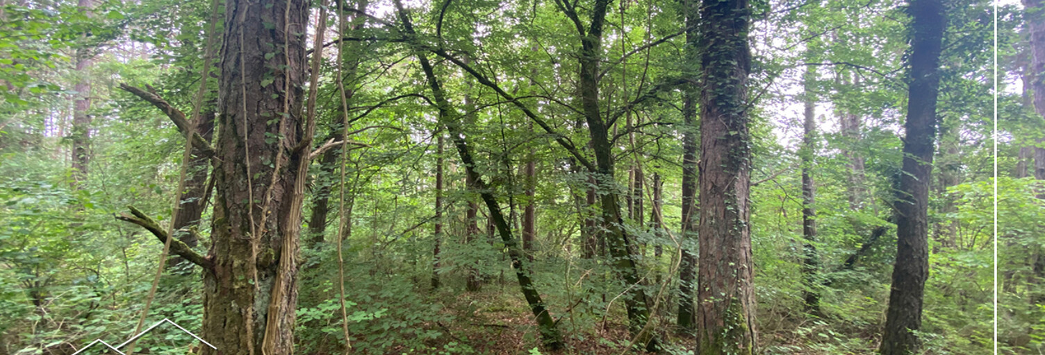 Terrain  67687 m² à vendre à Meuilley (21700)