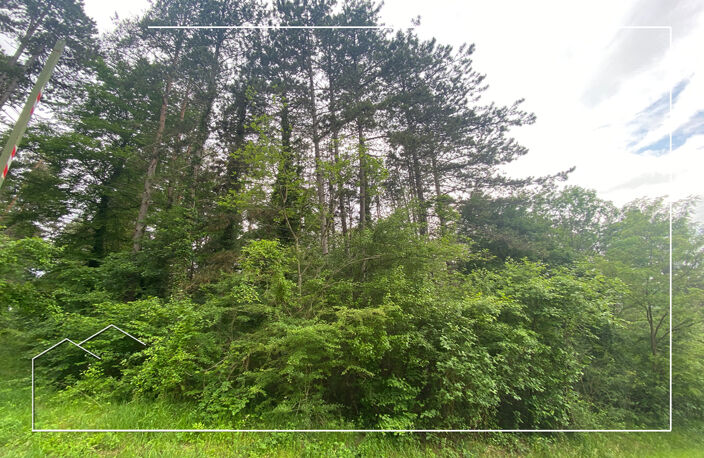 Vente terrain  67687 m² Meuilley (21700) — photo 2