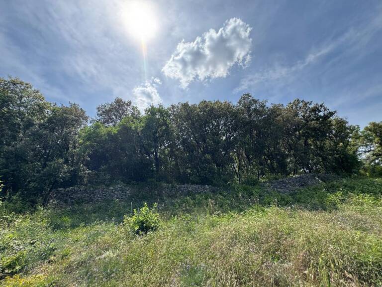   À vendre – Terrain en zone naturelle préservée   — photo 1