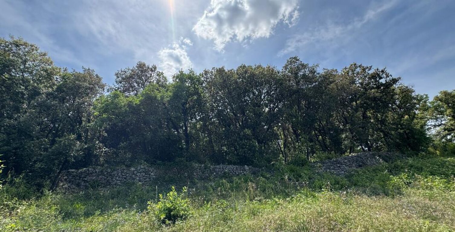   À vendre – Terrain en zone naturelle préservée   — photo 1