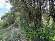   À vendre – Terrain en zone naturelle préservée   — photo 2