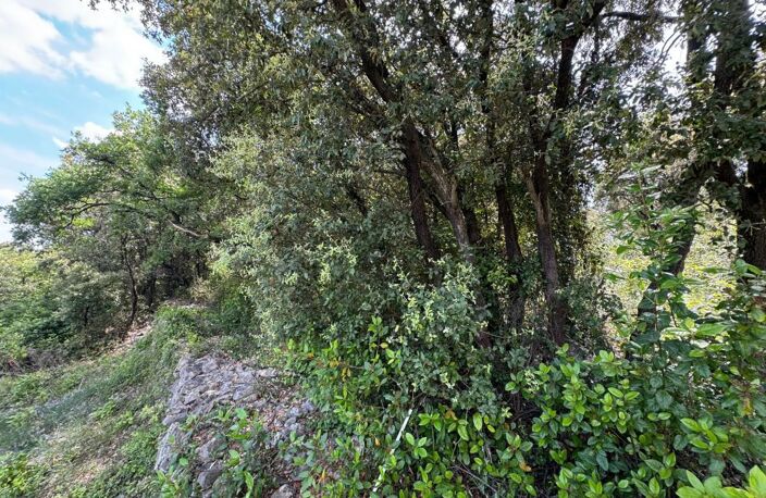   À vendre – Terrain en zone naturelle préservée   — photo 2
