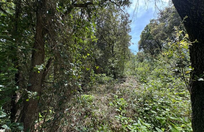   À vendre – Terrain en zone naturelle préservée   — photo 3