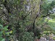   À vendre – Terrain en zone naturelle préservée   — photo 4