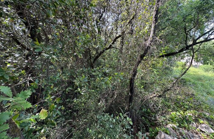   À vendre – Terrain en zone naturelle préservée   — photo 4