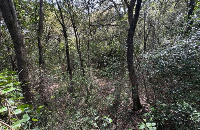   À vendre – Terrain en zone naturelle préservée   — photo 5
