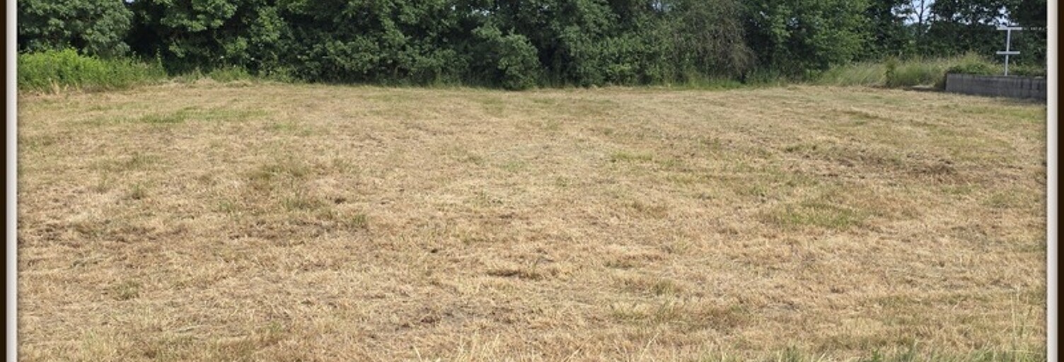 Terrain  1709 m² à vendre à Moisdon-la-Rivière (44520)