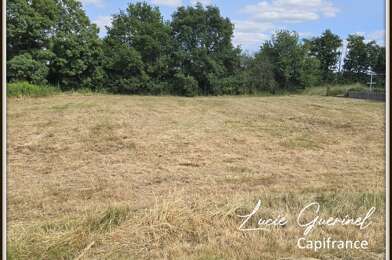 Terrain  50500 €
