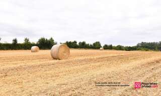 Photo N° 5