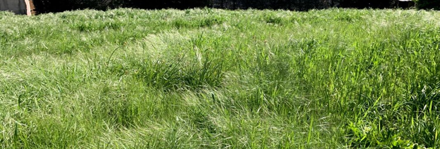 Terrain  685 m² à vendre à Martigues (13500)