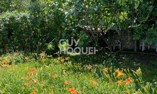 Photo N° 3