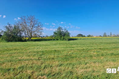 Terrain  224000 €
