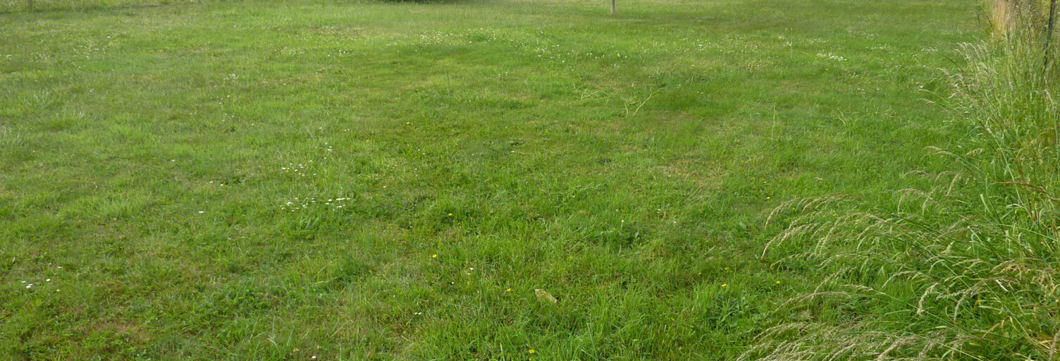 Terrain  1018 m² à vendre à Montmorillon (86500)