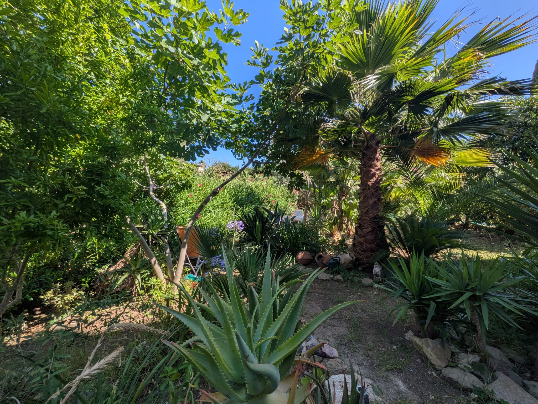 Appartement  T2 à vendre Londe-les-Maures (La) 83250