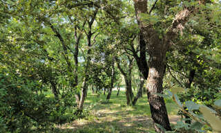 Terrain  1200 m² à vendre à Saint-Siffret (30700)