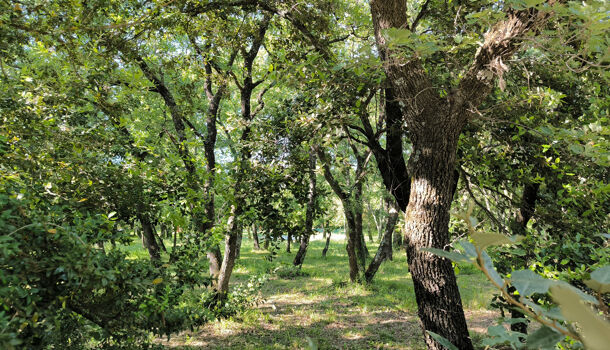 Terrain  à vendre Saint-Siffret 30700