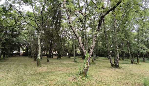 Terrain  à vendre Saint-Siffret 30700