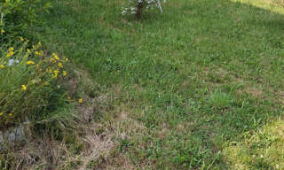 Commerce  292 m² à vendre à Saint-Ferréol-d'Auroure (43330)