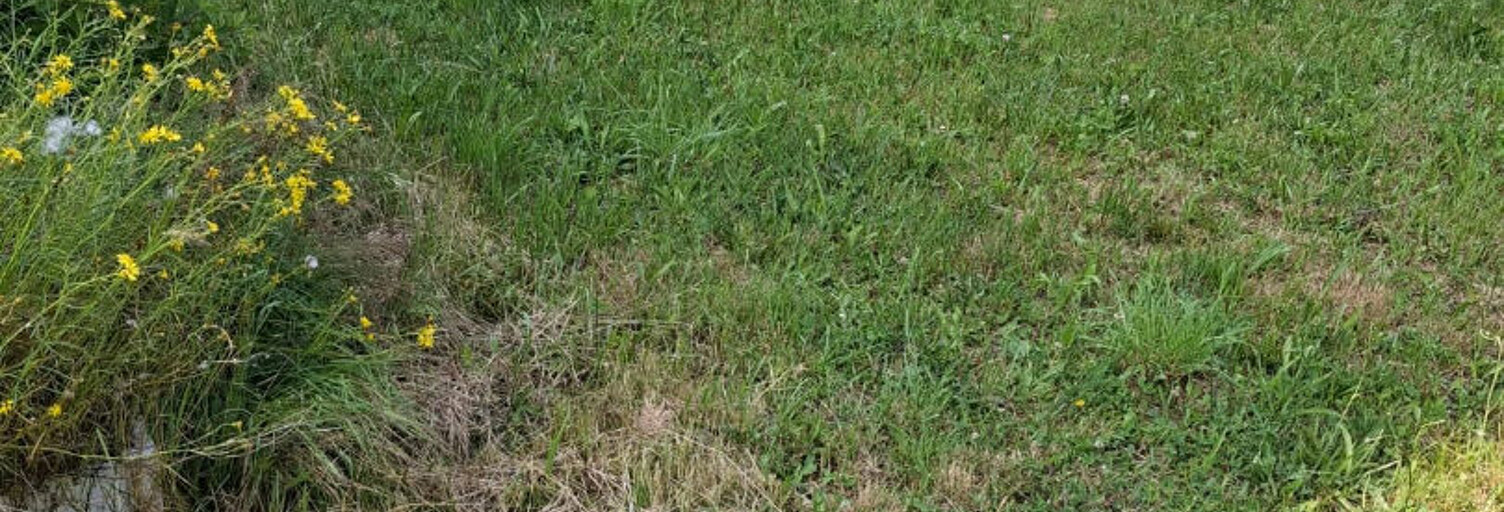 Commerce  292 m² à vendre à Saint-Ferréol-d'Auroure (43330)