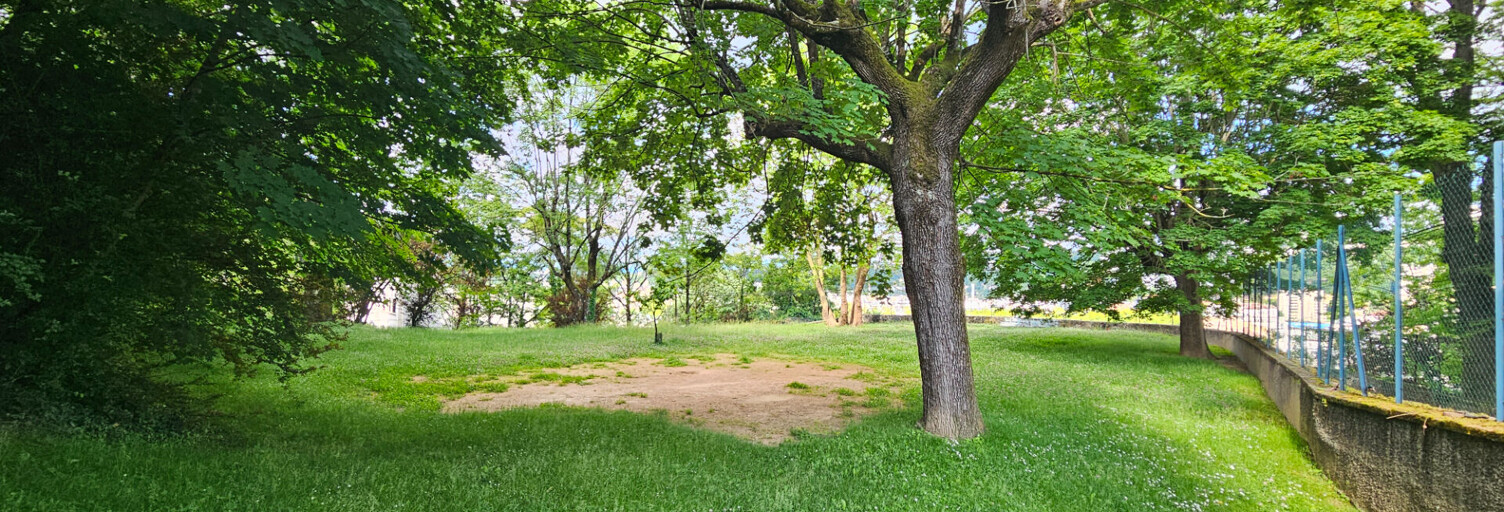 Appartement 3 Pièces 49 m² à vendre à Lyon 4 (69004)