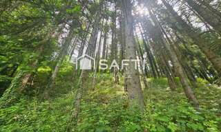 Terrain  5134 m² à vendre à Chaudes-Aigues (15110)