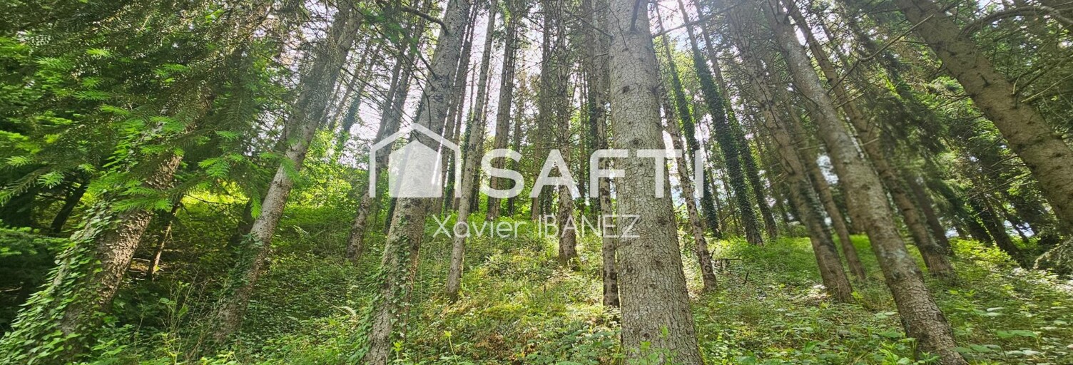 Terrain  5134 m² à vendre à Chaudes-Aigues (15110)