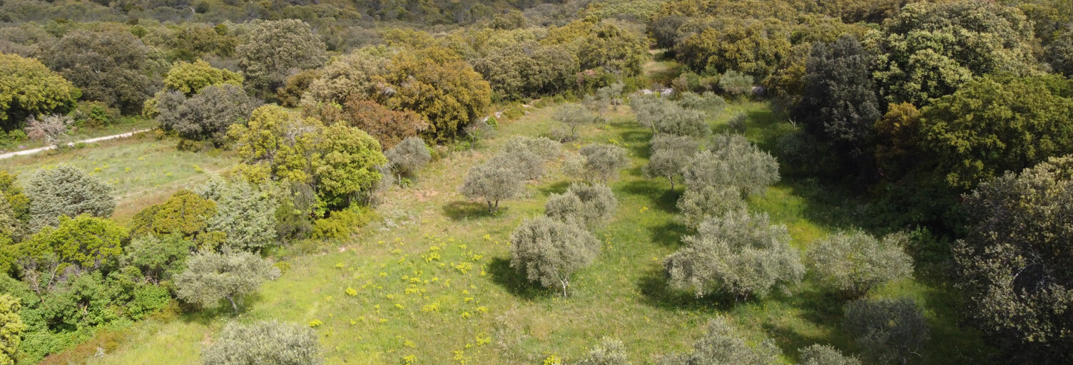 Terrain  1764 m² à vendre à Saint-Siffret (30700)