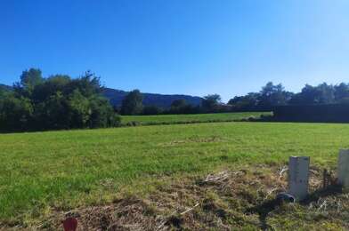 Terrain  50000 €