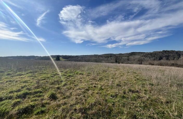 Propriété Agricole de 10 pièces principales — photo 3