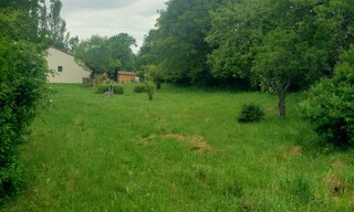 Photo N° 3