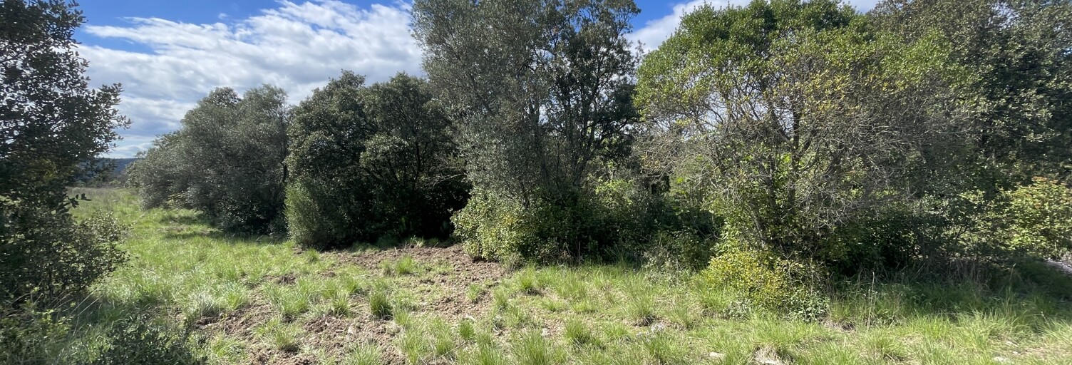 Terrain  8985 m² à vendre à Aigaliers (30700)