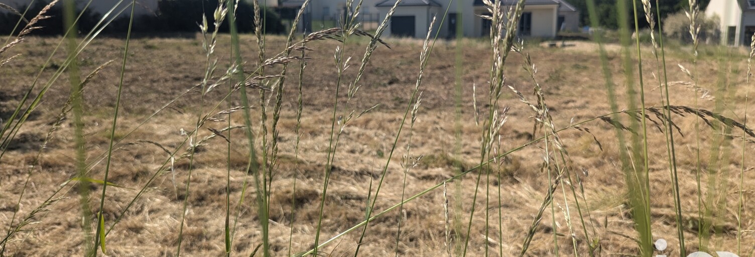 Terrain  1766 m² à vendre à Brancourt-en-Laonnois (02320)