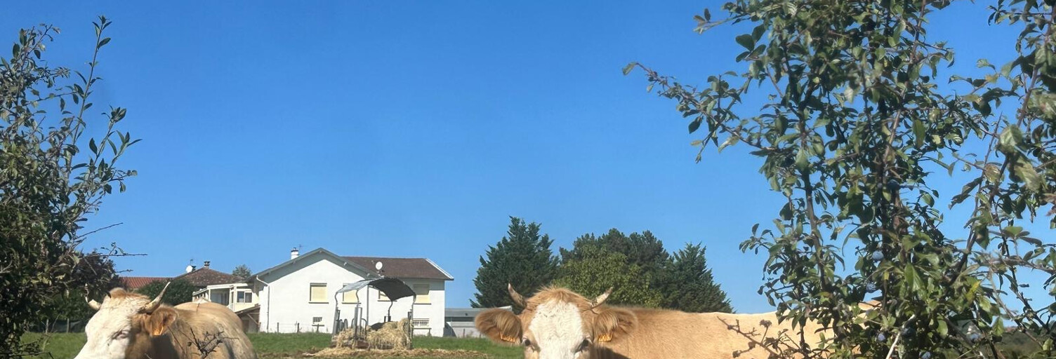 Maison 5 Pièces 170 m² à vendre à Pollionnay (69290)