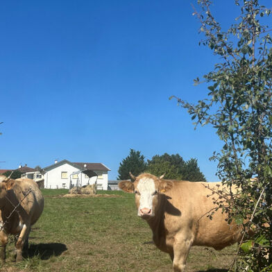 Maison 5 pièces 649000 €