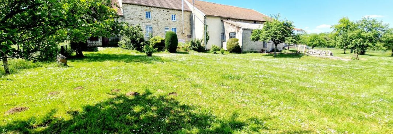 Maison 5 Pièces 161 m² à vendre à Fayl-Billot (52500)