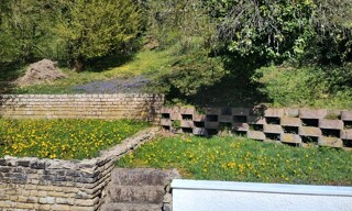 Photo N° 2