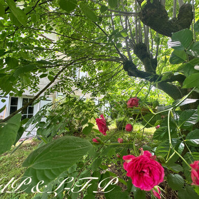 Maison 6 pièces 315000 €